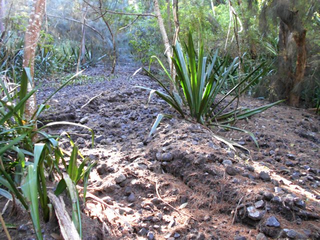 Beaucoup de cailloux sur cette partie ravinée et en forte pente