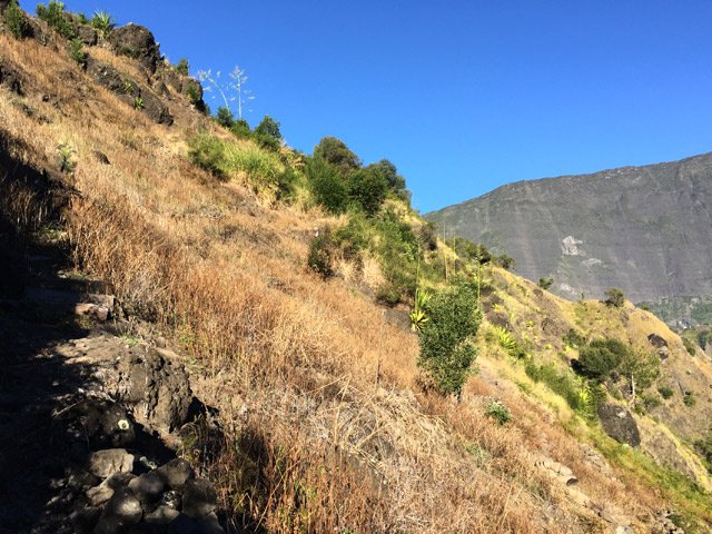 Encore quelques dizaines de mètres avant le manguier