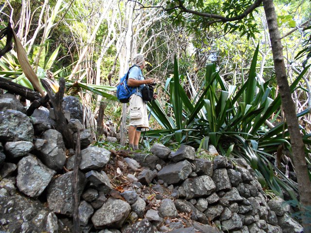 Les anciennes murettes pour mettre le bétail à l'abri