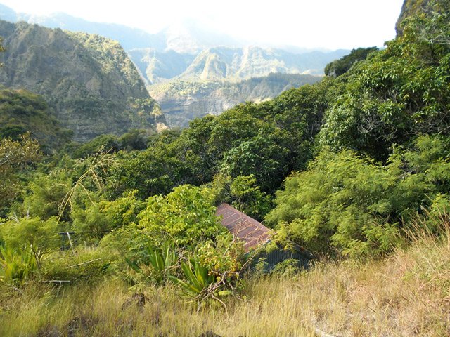 La case en tôle et son grand verger de manguiers observés depuis le belvédère