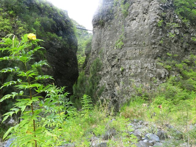 Descente de la Rivière des Galets au niveau du Bras d'Oussy et de la passerelle prise le matin
