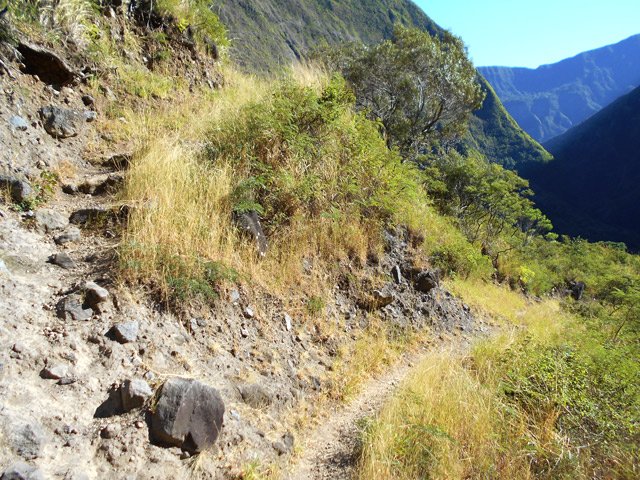Une bonne idée du sentier lors de la montée du Piton Tortue