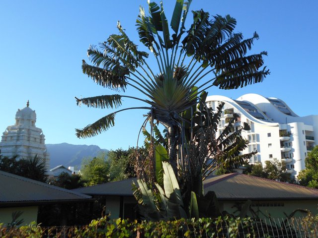 Vers la Rue du Père Lafosse pour se diriger vers l'Ashram