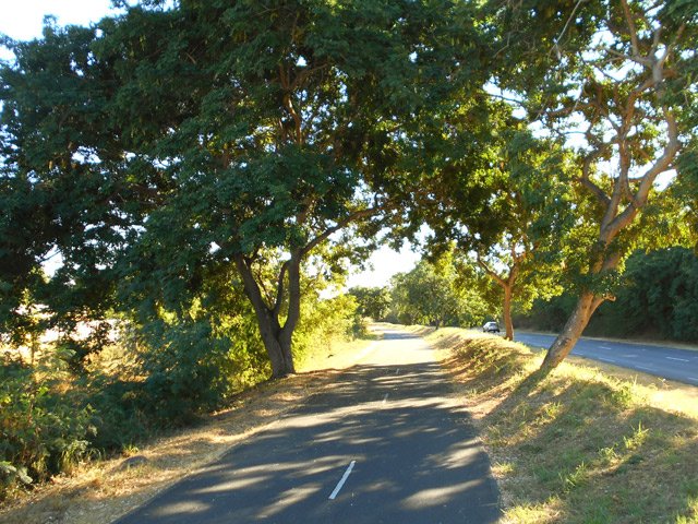 La piste qui longe la route en direction du cimetière paysager