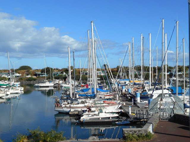On domine de quelques mètres le petit port de plaisance