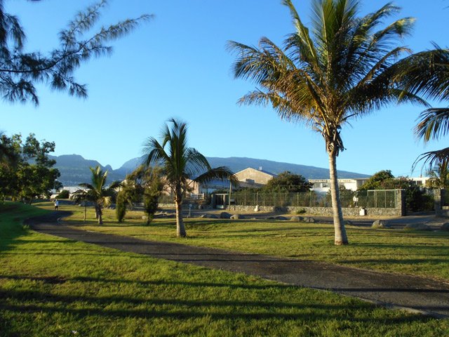 Un peu de verdure le long du littoral