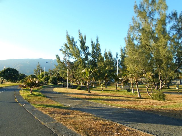Pistes cyclables et piétonnes sont là pour les sportifs du Port