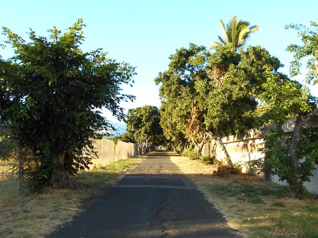 L'allée entre le lycée et les terrains de sport