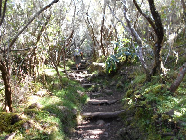 Une autre montée vers la Plaine des Fraises