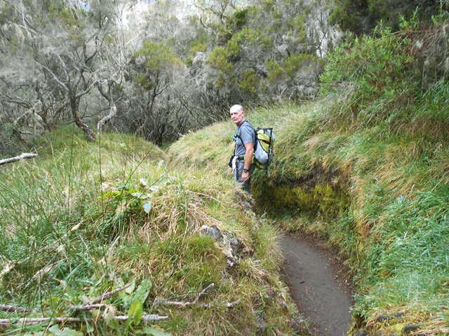 Le sentier à la Plaine des Fraises, usé par les milliers de passages