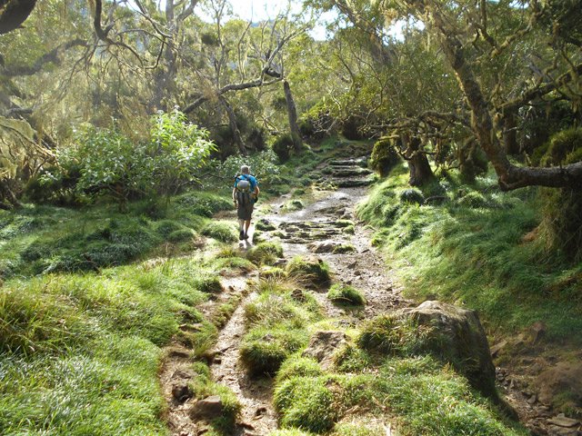 Le sentier est souvent humide et boueux quand il est à plat