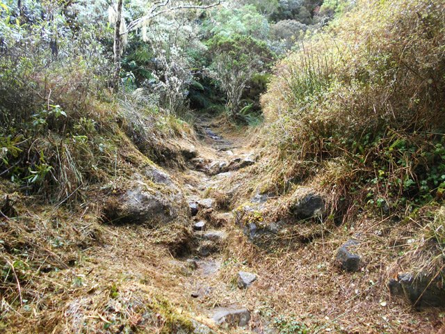 Le début du sentier du Col de Fourche, étroit et pierreux mais heureusement, nettoyé.