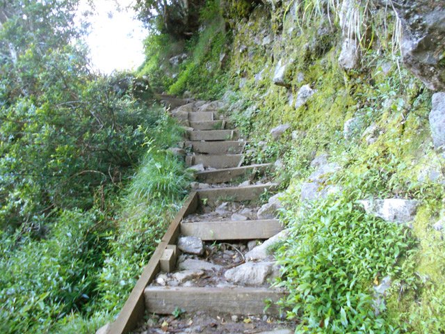 Les premières marches de la journée vers le Plateau Rose