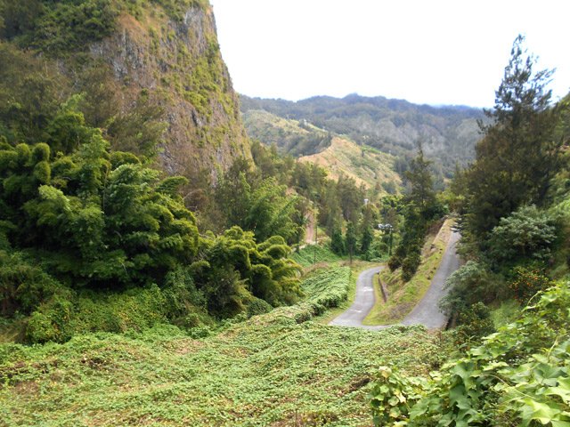 La superbe petite route de Bras Marron délaissée par les bus