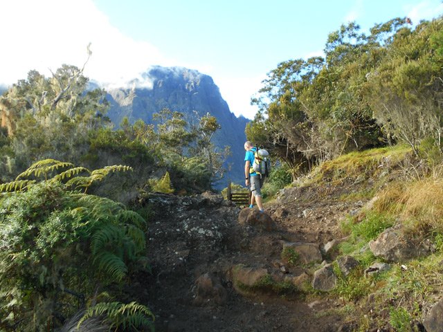 L'échelle en bois qui marque le début de la Plaine des Tamarins