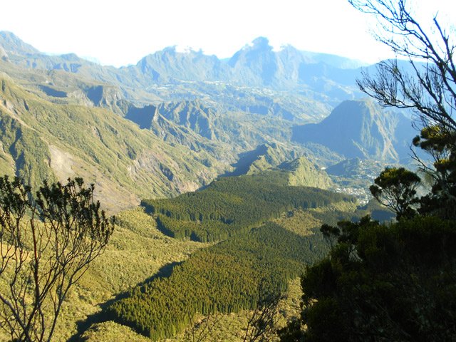 Les points de vue sur le cirque ou la forêt de Terre Plate se multiplient