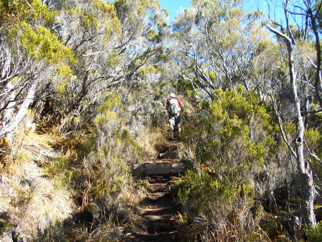 Poursuite de la montée vers le gîte