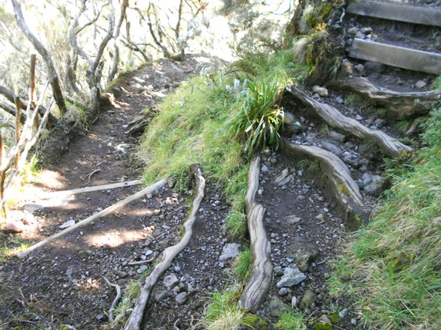 On ne doit pas compter les lacets sous peine de découragement