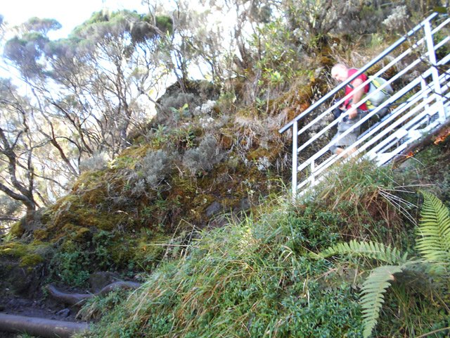 Des échelles ont remplacé les parties trop difficiles