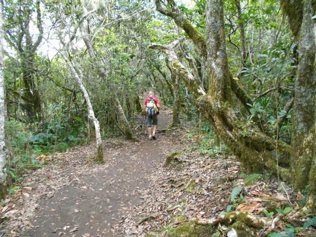 La seule partie plate du Plateau des Chênes