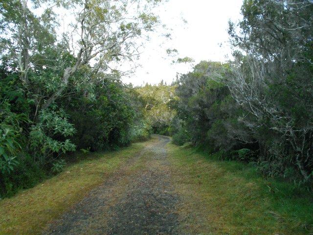Seule facilité de la journée sur la piste entre le gîte et l'antenne relais