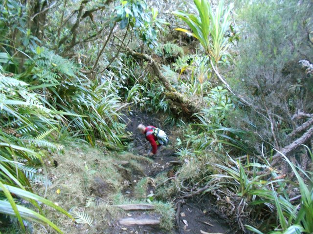 Fortes descentes glissantes d'une quinzaine de mètres vers les petites ravines