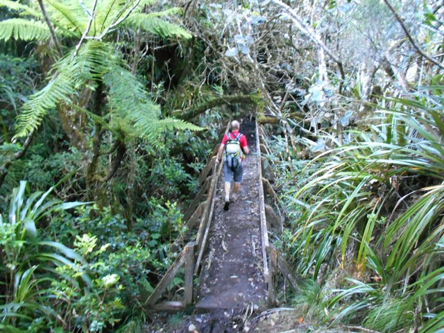 Certaines se franchissent par passerelles dans la verdure