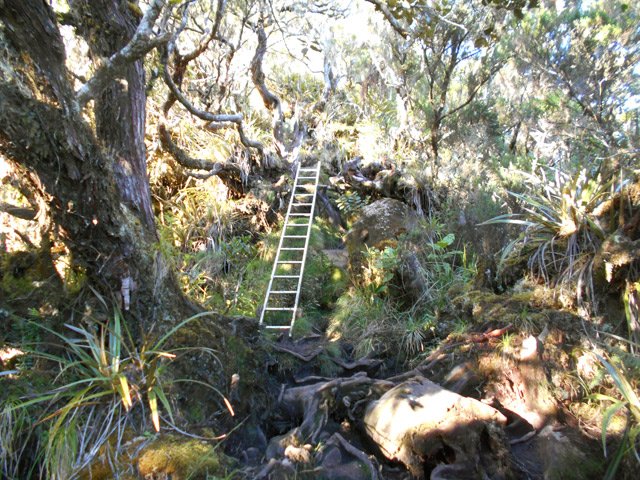 Une des 15 échelles de la montée dans un cadre sauvage