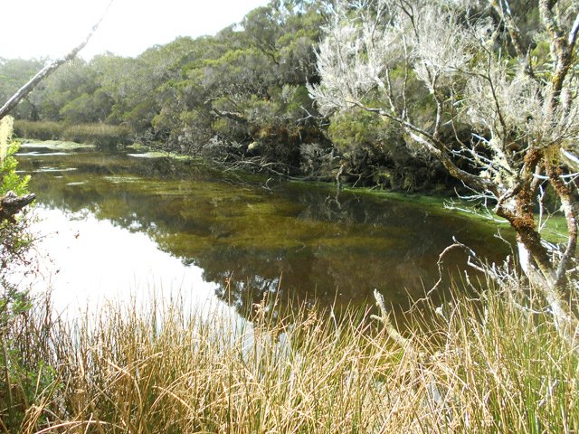 La mare à quelques mètres du point de départ par un détour de 5 minutes