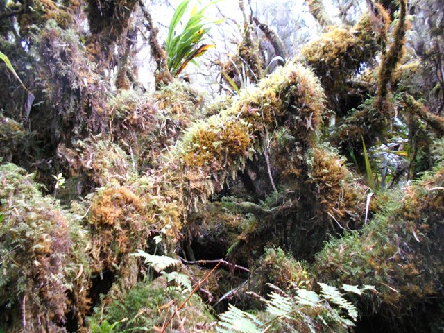 Encore beaucoup de mousse à l'approche du rempart