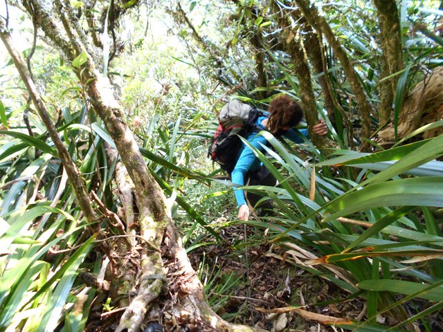 Très vite, le ton est donné par la première corde à 15 mètres du bord du rempart