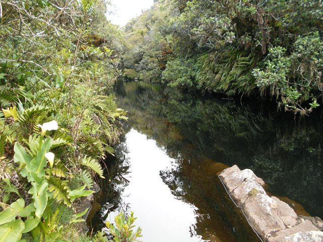 Un long bassin profond qui ne donne pas du tout envie de se baigner, même au retour