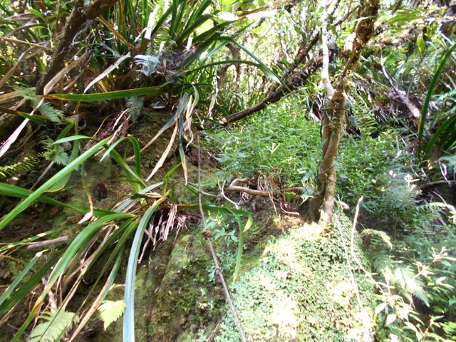 Le début d'un passage particulièrement vertical