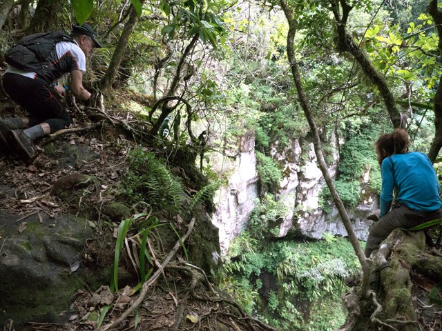 Chacun son tour sur l'arbre où sont fixés les premiers pitons des canyonistes