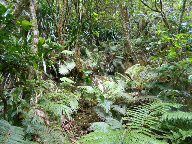 Début au rempart vertical du retour par le même sentier