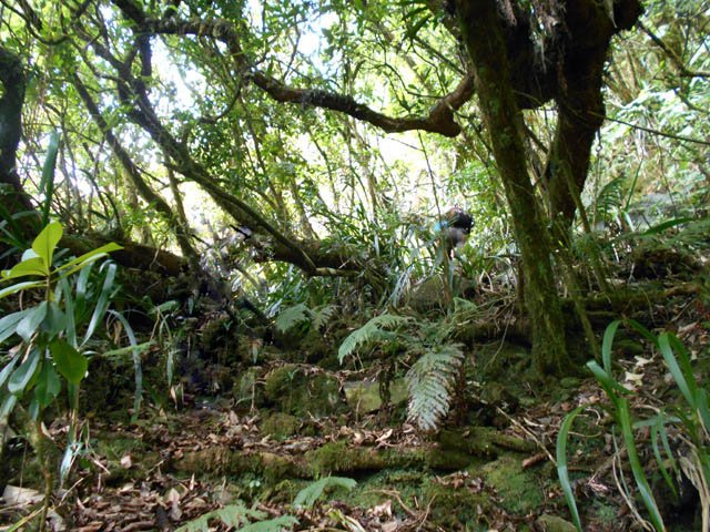 Une halte pour souffler car la pente est déjà raide