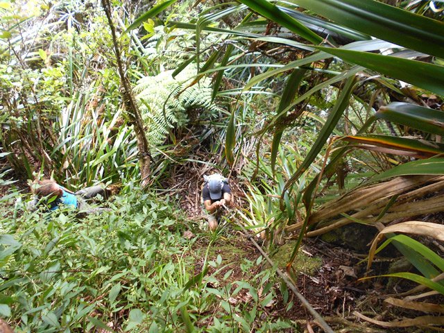 Mais le pire arrive aussi, heureusement avec cordes