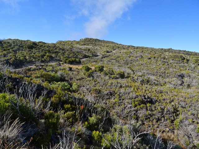 Au loin, le Piton de la Glacière sert de nouveau repère indiquant la fin de la piste
