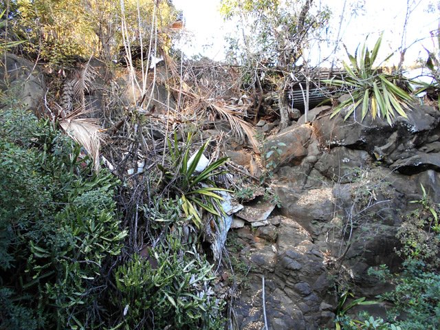 Les falaises, hélas, sont couvertes de détritus
