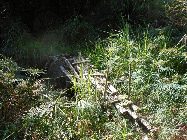 Cette passerelle marque la fin de la montée. Prendre le sentier qui la prolonge