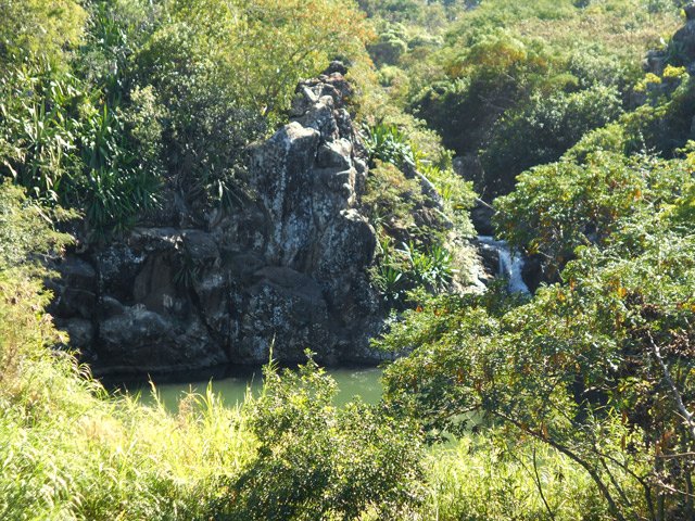 Le dernier bassin photographié du sentier sortant des cannes à sucre