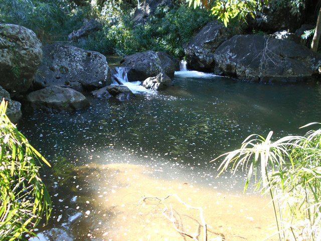 Le bruit de l'eau nous berce tout au long de la remontée