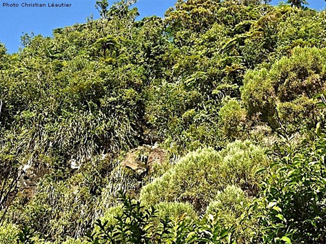 On devine les derniers mètres de forte montée jusqu'au plateau