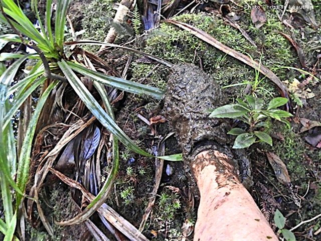 Eviter de prendre les chaussures neuves