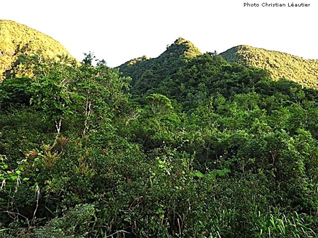 Une idée de la montée vers le haut de la crête