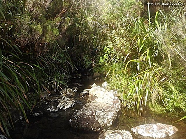 Arrivée à la Grande Ravine qui n'est qu'un petit ruisseau calme