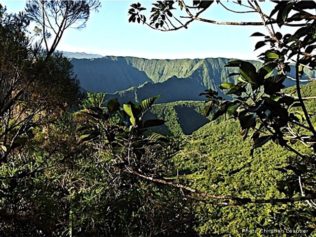 Grand Fond et le Morne de l'Etang se dessinent peu à peu