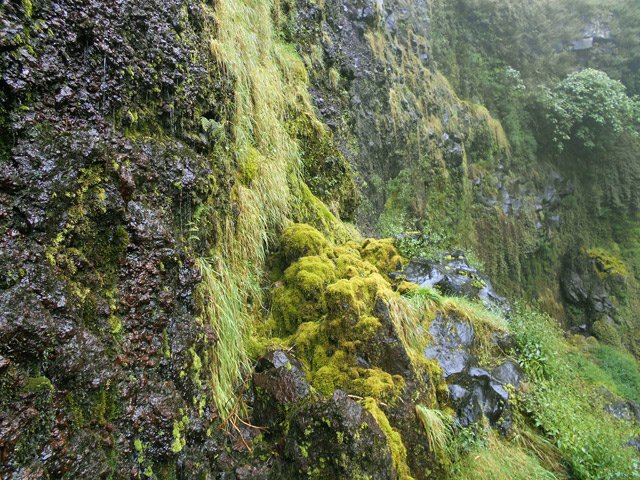 La falaise verticale suinte en permanence