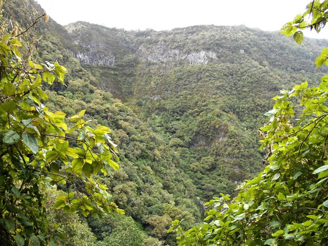 Une idée du chemin parcouru en regardant les falaises de l'autre côté du Bras Sec