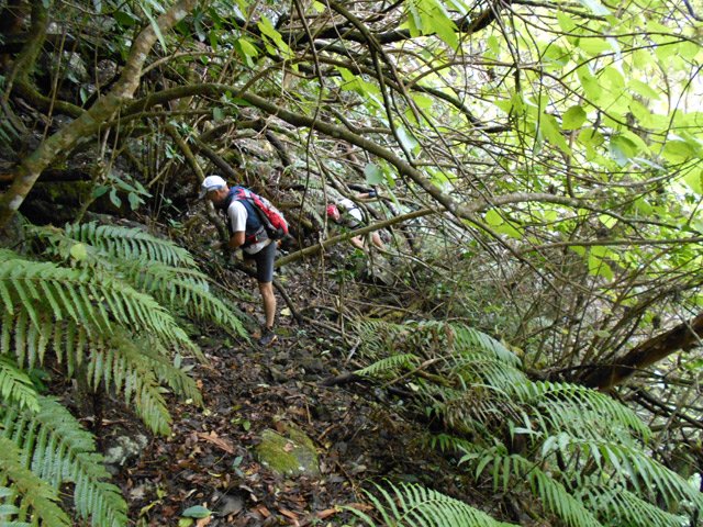 Après les captages, le sentier devient plus difficile, jusqu'à disparaître